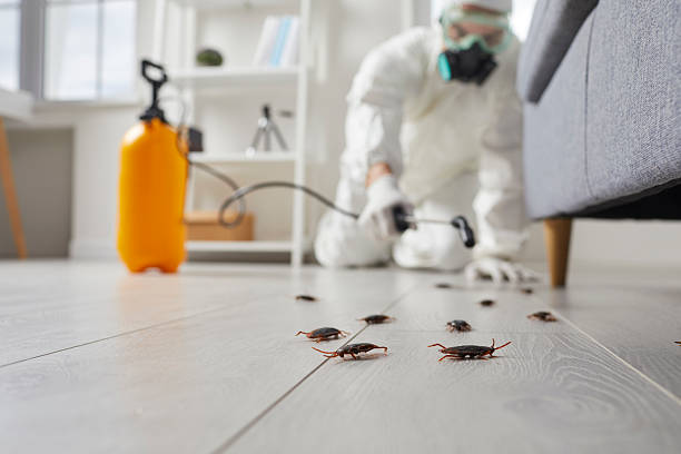 Post-Treatment Bed Bug Interceptor Monitoring in Elsmere
