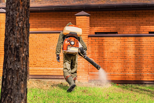 Bed Bug Clearance Verification and Documentation in Elsmere